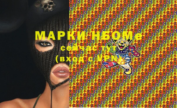 соль ск Алексин
