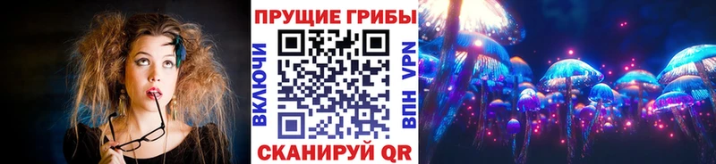 Псилоцибиновые грибы прущие грибы  купить закладку  гидра ТОР  Дзержинский 