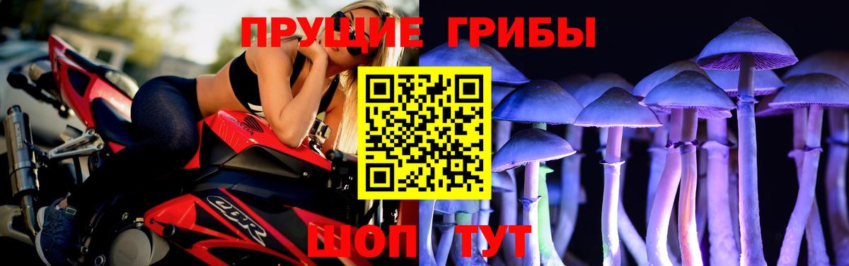 Дзержинский  Псилоцибиновые грибы мухоморы  Псилоцибиновые грибы ЛСД  Вход с VPN 